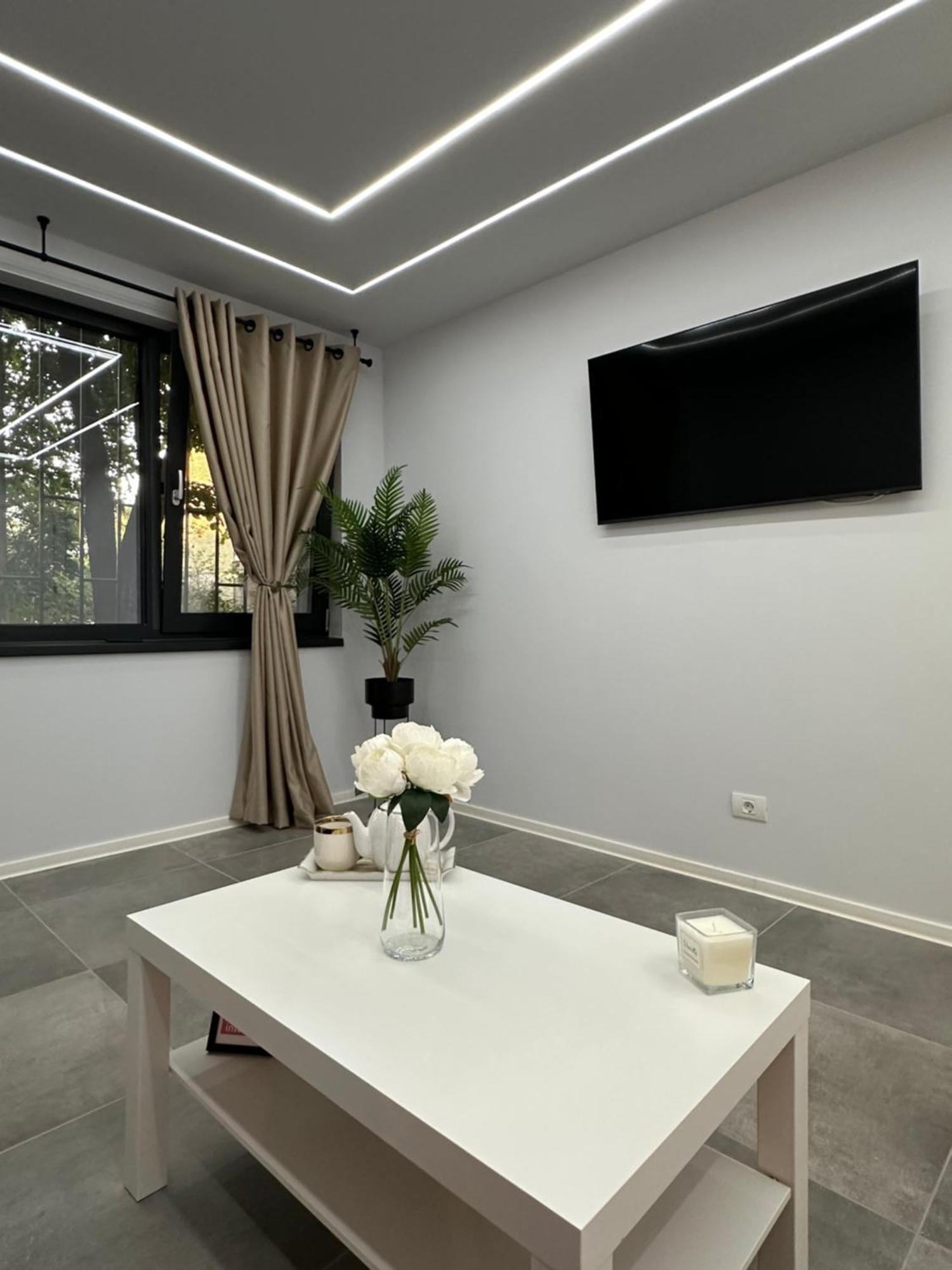 Ppu Home Timișoara Zewnętrze zdjęcie