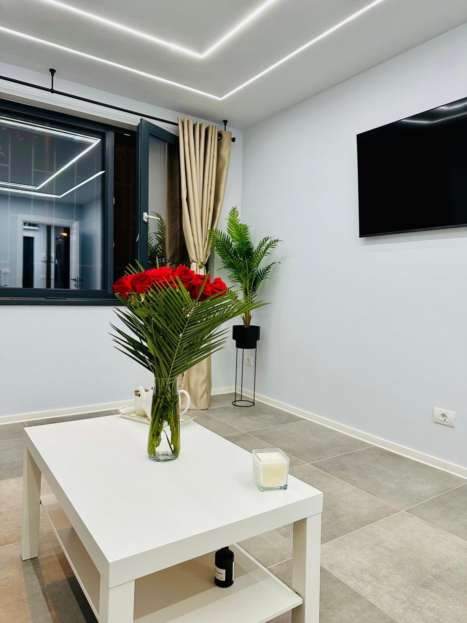 Ppu Home Timișoara Zewnętrze zdjęcie